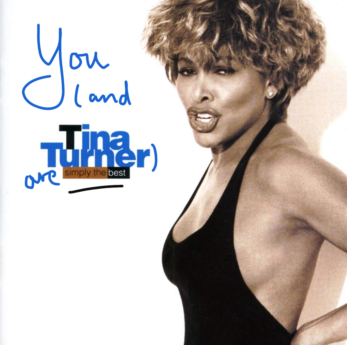 TinaTurnerSimplyTheBest.png