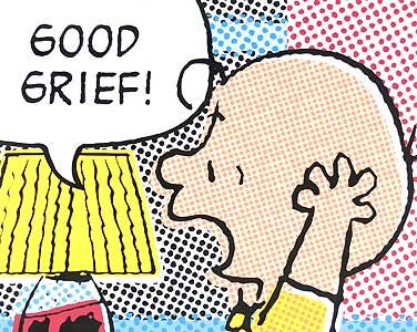 dojo4-grief-as-an-entrepreneurial-asset-charlie-brown-image.jpeg